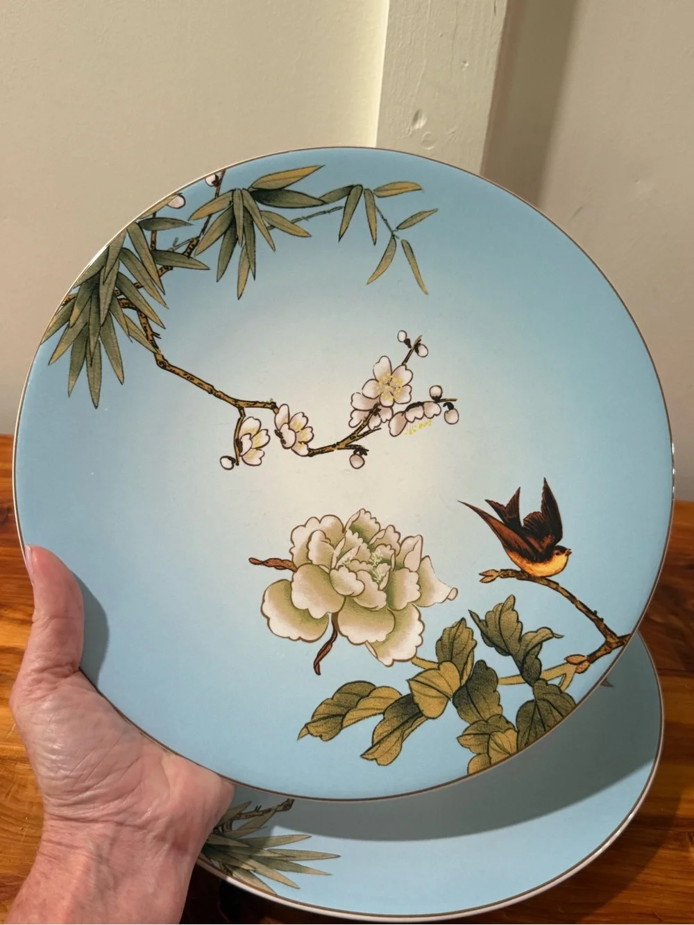 Pier 1 One Chinoiserie Dinner Plate Stoneware Flower Bird Branch Set of 2